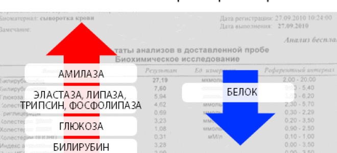Иммуноферментный анализ крови ифа: что это такое? расшифровка