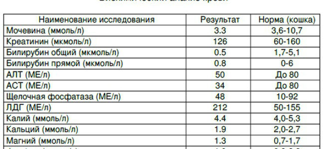 Коэффициент атерогенности (ка): норма в крови, почему повышен и как понизить?